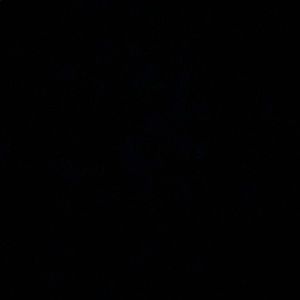 Meet your Posher, Dustin